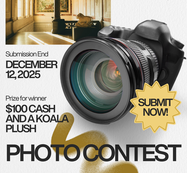 AMCA WRAPPED: Photo Contest 2025